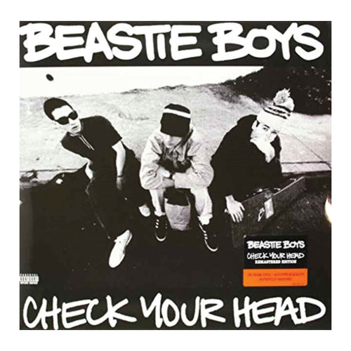 beastie boys check your head album cover