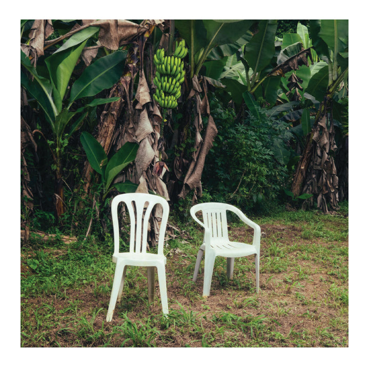 Bad Bunny- Debi Tirar Mas Fotos