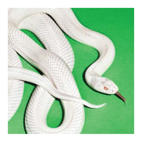 White snake on a green background. Deftones- Private Music album cover