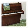 Grandaddy- The Sophtware Slump On A Wooden Piano