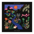 Album cover with colorful illustrations of animals and nature, featuring the text 'José González' and 'Local Valley'.