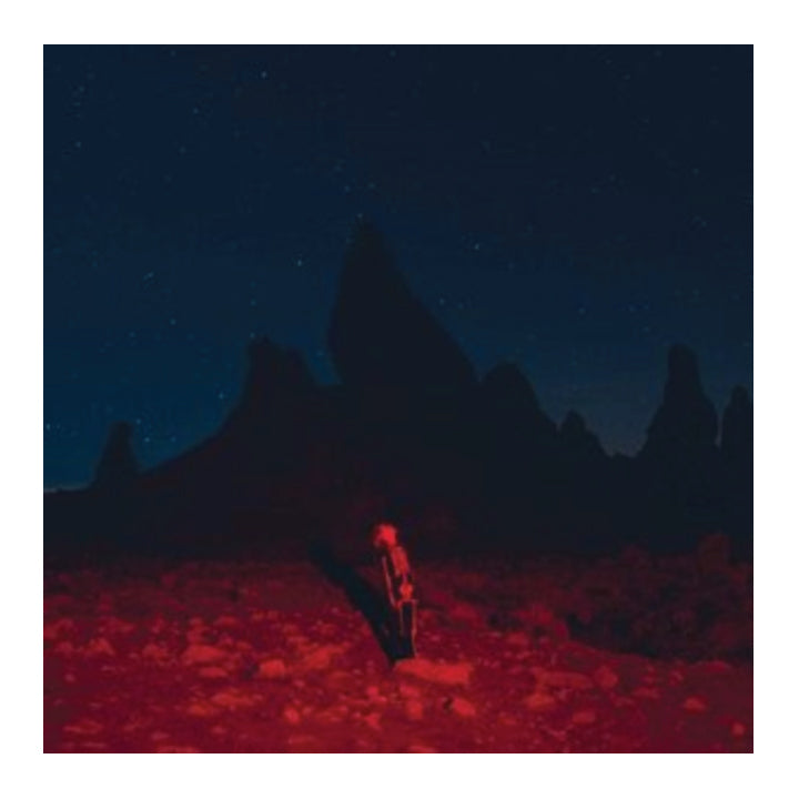 Phoebe Bridgers- Punisher