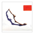 PJ Harvey- I Inside The Old Year Dying