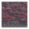 A square art print or photograph depicting a textured, vertical wall of dense foliage in shades of deep pink, burgundy, and magenta against a dark charcoal background.
