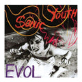 Sonic Youth- Evol