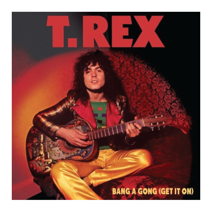 Album cover featuring a person with long hair playing a guitar, with 'T. Rex' at the top.