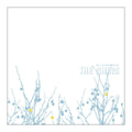 Album cover with abstract branches and 'The Shins' text on a white background