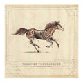 Album cover with a horse illustration and text on a beige background